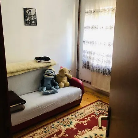 Dino * Visoko